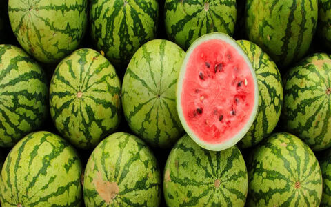 همه چیز درباره خواص هندوانه در طب سنتی + طبع و طریقه مصرف