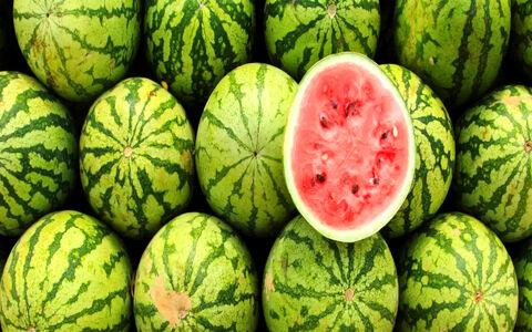 همه چیز درباره خواص هندوانه در طب سنتی + طبع و طریقه مصرف